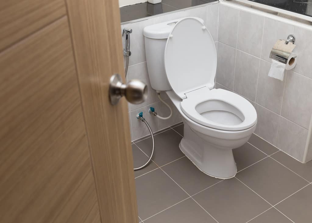 Quietest Toilet of 2022 Flush GuiltFree! Snoring Source